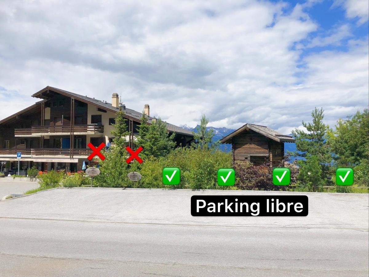 Charmant Studio, 2 Adultes , Centre De Nendaz Exterior photo